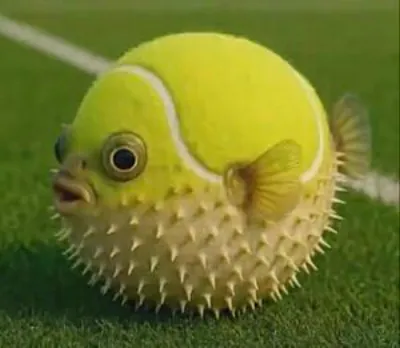 Puffaball