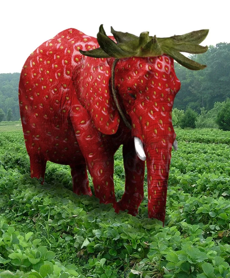 Strawberry Elephant